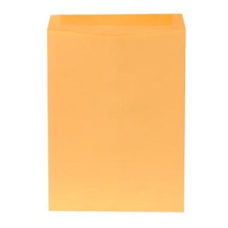 SOBRE BOLSA ANTE CANSA 1858 63 KGS. OFICIO PAQUETE CON 50