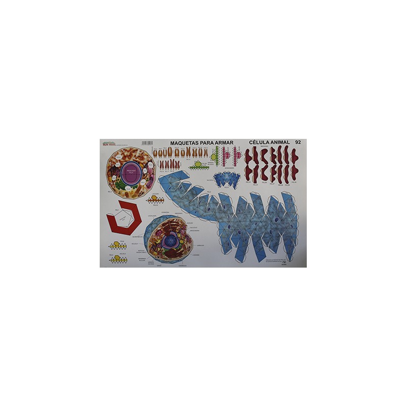 MAQUETA PARA ARMAR SUN RISE CELULA ANIMAL