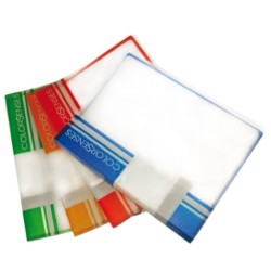 CARPETA MAE COLOR SENSES CARTA CLB-30CS CON 30 MICAS INCORPORADAS