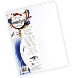 CARTULINA OPALINA AVANTAGE BLANCA CARTA 220 GRS. PAQUETE CON 100