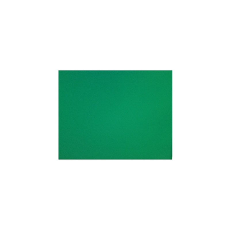 CARTULINA REFLEX 50X65 CMS. VERDE BANDERA  PLIEGO