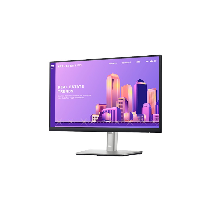 MONITOR PLANO DELL P2422H FULL HD LCD 24 PULGADAS