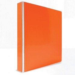 CARPETA DE ARGOLLAS DANPEX NEON N517 COLORES SURTIDOS NEON