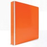 CARPETA DE ARGOLLAS DANPEX NEON N517 COLORES SURTIDOS NEON