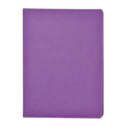 CARPETA DE CONVENCIONES DANPEX PRO BUSSINES T1651-MO MORADO