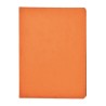 CARPETA DE CONVENCIONES DANPEX PRO BUSSINES T1651-NA NARANJA