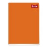 CUADERNO ENGRAP FORMA FRANCESA SCRIBE CLASICO 6233 100 HOJAS CUADRO 7 MM.