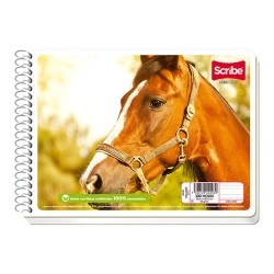 CUADERNO CON ESPIRAL FORMA ITALIANA SCRIBE ESCOLARMEGA 4531 100 HOJAS BLANCO