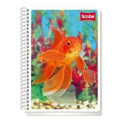 CUADERNO CON ESPIRAL FORMA FRANCESA SCRIBE ESCOLAR MEGA 4542 100 HOJAS CUADRO 5 MM.