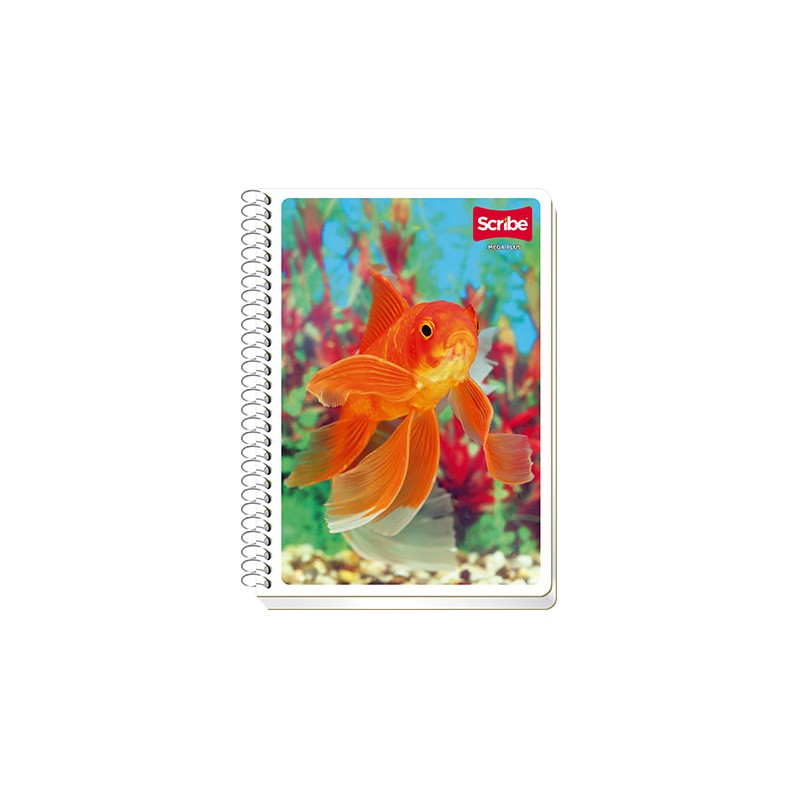 CUADERNO CON ESPIRAL FORMA FRANCESA SCRIBE ESCOLAR MEGA 4542 100 HOJAS CUADRO 5 MM.