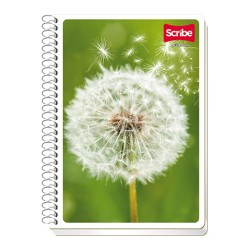 CUADERNO CON ESPIRAL FORMA FRANCESA SCRIBE ESCOLAR MEGA 4544 100 HOJAS DOBLE RAYA