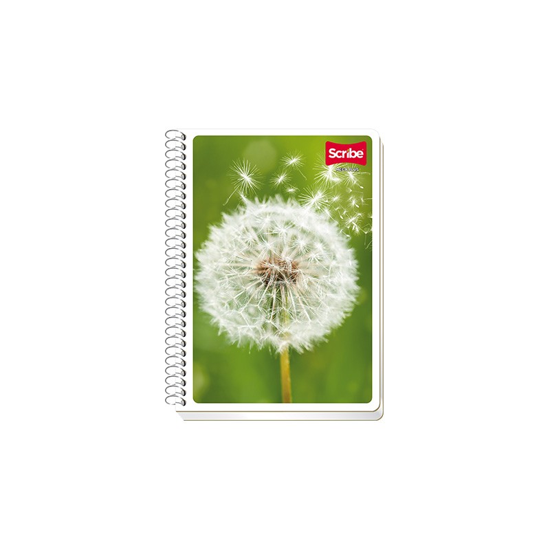 CUADERNO CON ESPIRAL FORMA FRANCESA SCRIBE ESCOLAR MEGA 4544 100 HOJAS DOBLE RAYA
