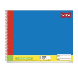 BLOCK DE DIBUJO SCRIBE ESCOLAR 4592 30 HOJAS GRANDE C/PROTECTORES