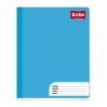 CUADERNO COSIDO COLLEGE SCRIBE COVER 0690 100 HOJAS RAYA