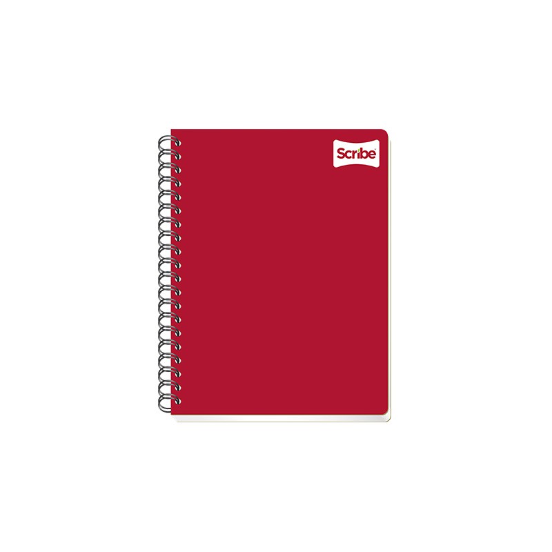 CUADERNO PROFESIONAL SCRIBE CLASICO 2902 100 HOJAS CUADRO 5 MM.