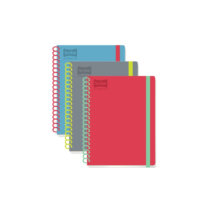 CUADERNO PROFESIONAL SCRIBE EXCELLENCE 9450 100 HOJAS RAYA