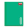 CUADERNO  PROFESIONAL COSIDO SCRIBE SERIE III 4300 100 HOJAS RAYA