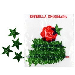 ESTRELLA LESA # 4 VERDE BOLSA CON 100